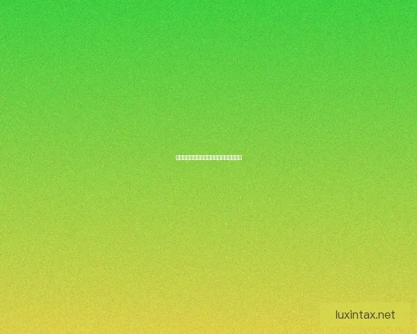 皮城装备搭配解析与核心玩法策略深入探讨